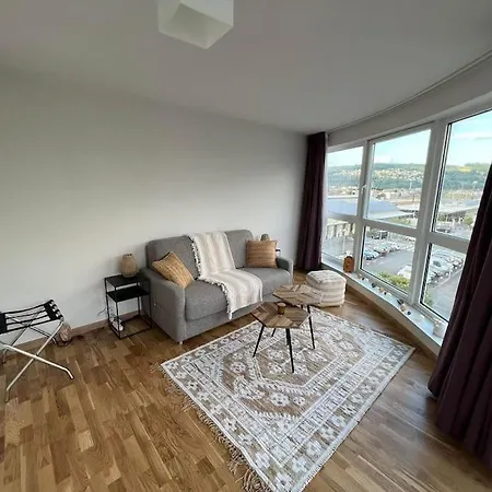 Vue Sur Le Pic Du Jer/confortable/calme Appartement *